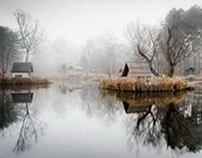 Рамзан Кадыров распорядился вырыть яму для Владимира Зеленского