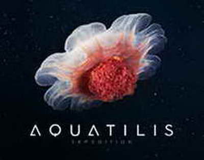 Что происходит после ввода войск России на Украину. День 795-й // Онлайн-трансляция: последние новости и заявления 28 апреля